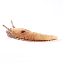 Load image into Gallery viewer, Mini Banana Slug Folkmanis Puppet